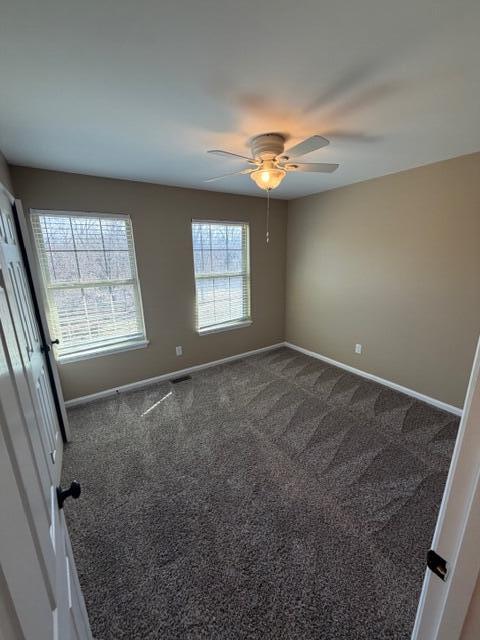 3815 Lady Di Lane Property Photo 8