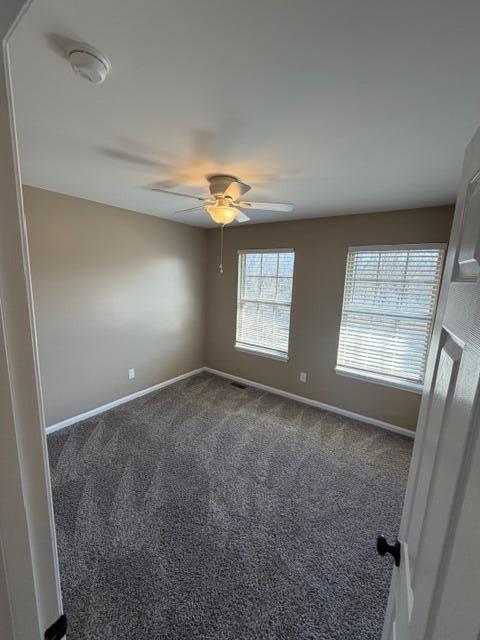 3815 Lady Di Lane Property Photo 9