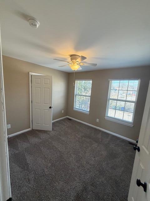 3815 Lady Di Lane Property Photo 10