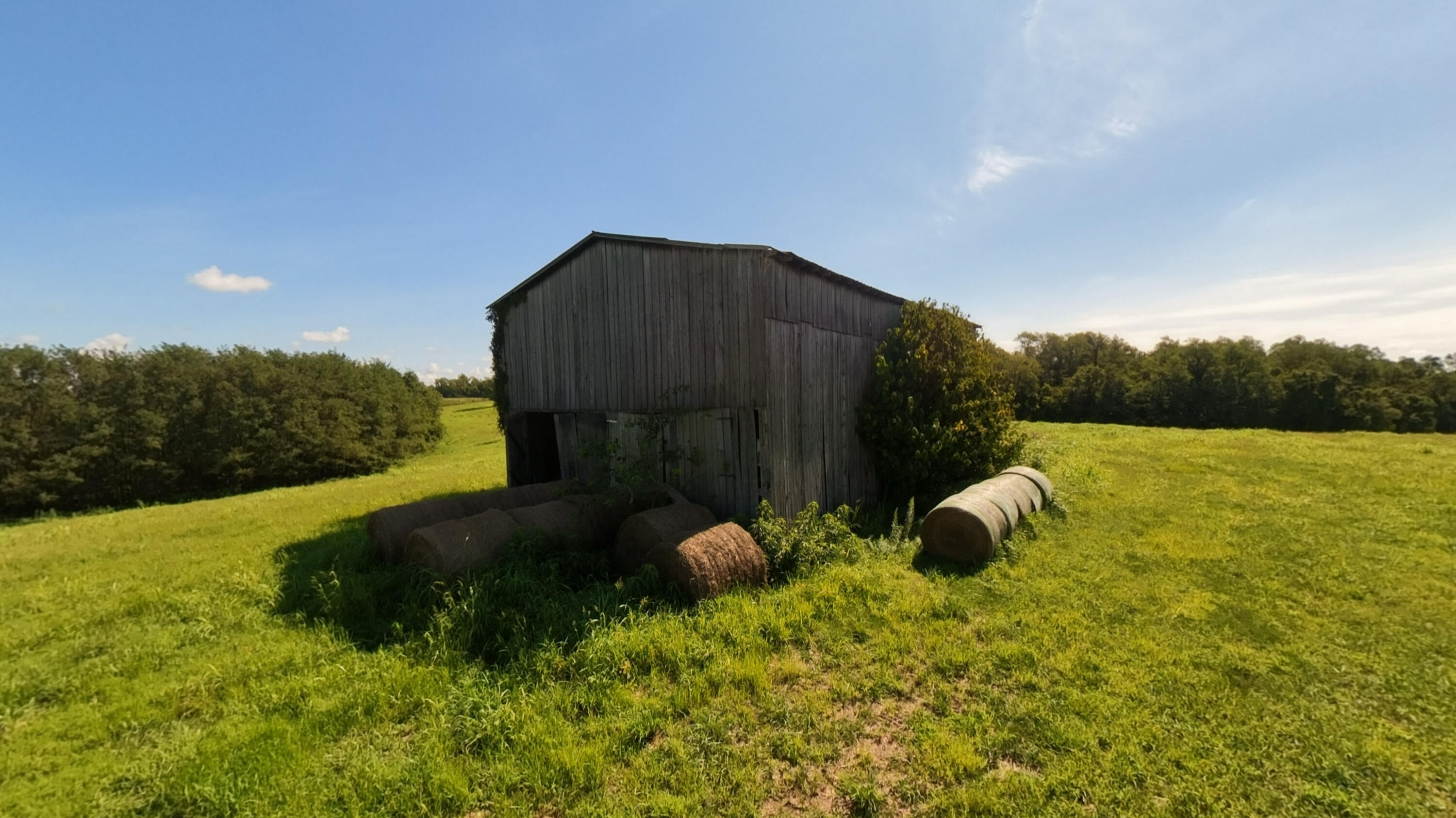 5745 Paris Road Property Photo 52