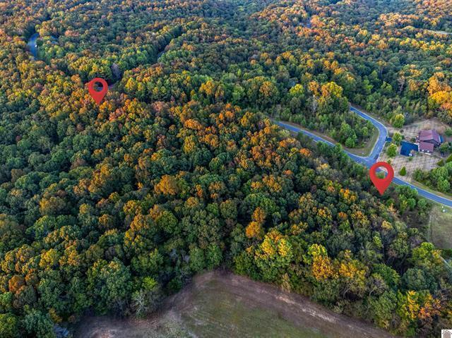 Lot 80 Waterfowl Road Property Photo 15