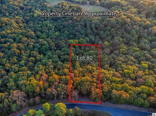 Lot 79b Waterfowl Road Property Photo 17