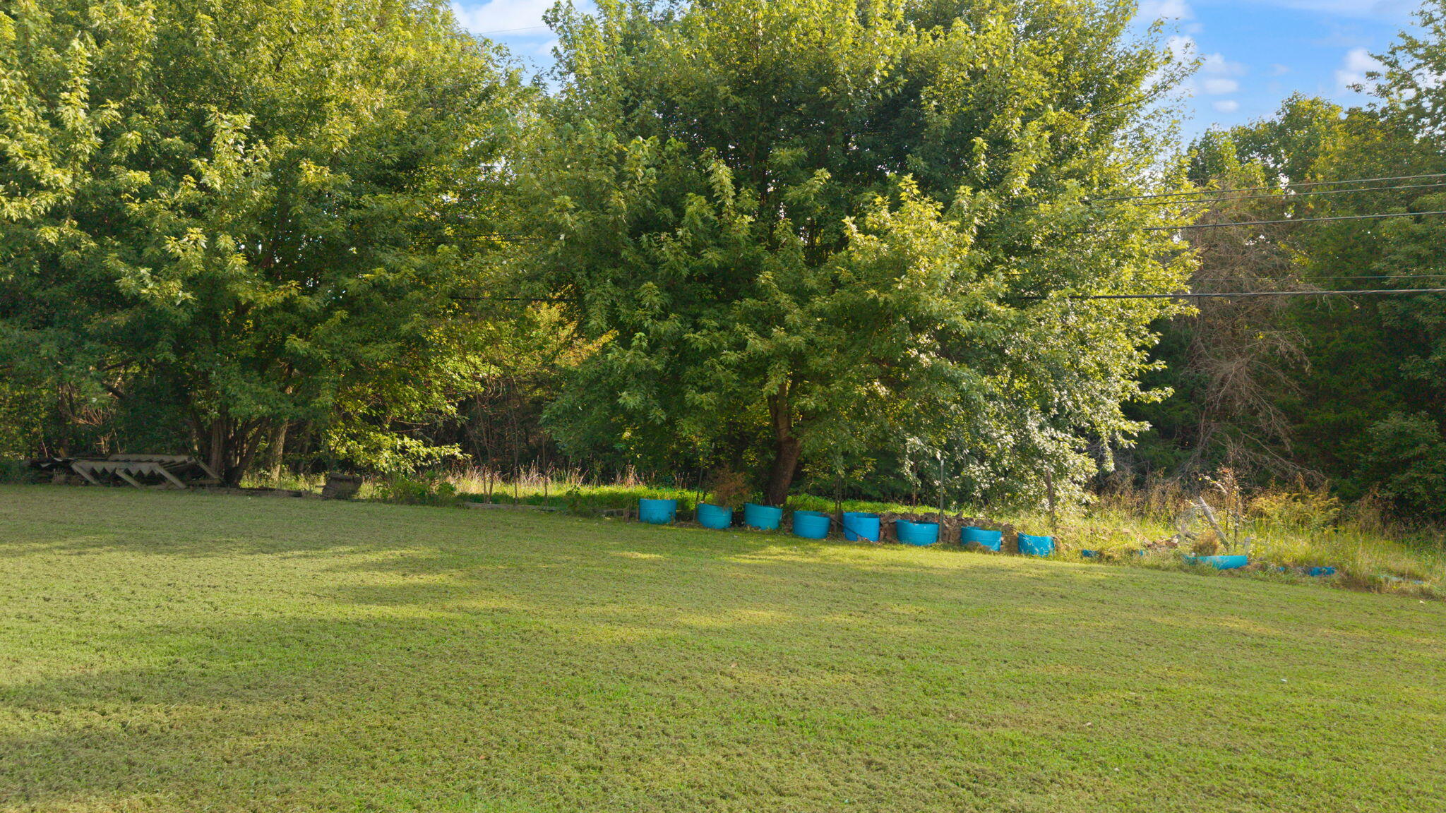 6114 Highway 1546 Property Photo 6