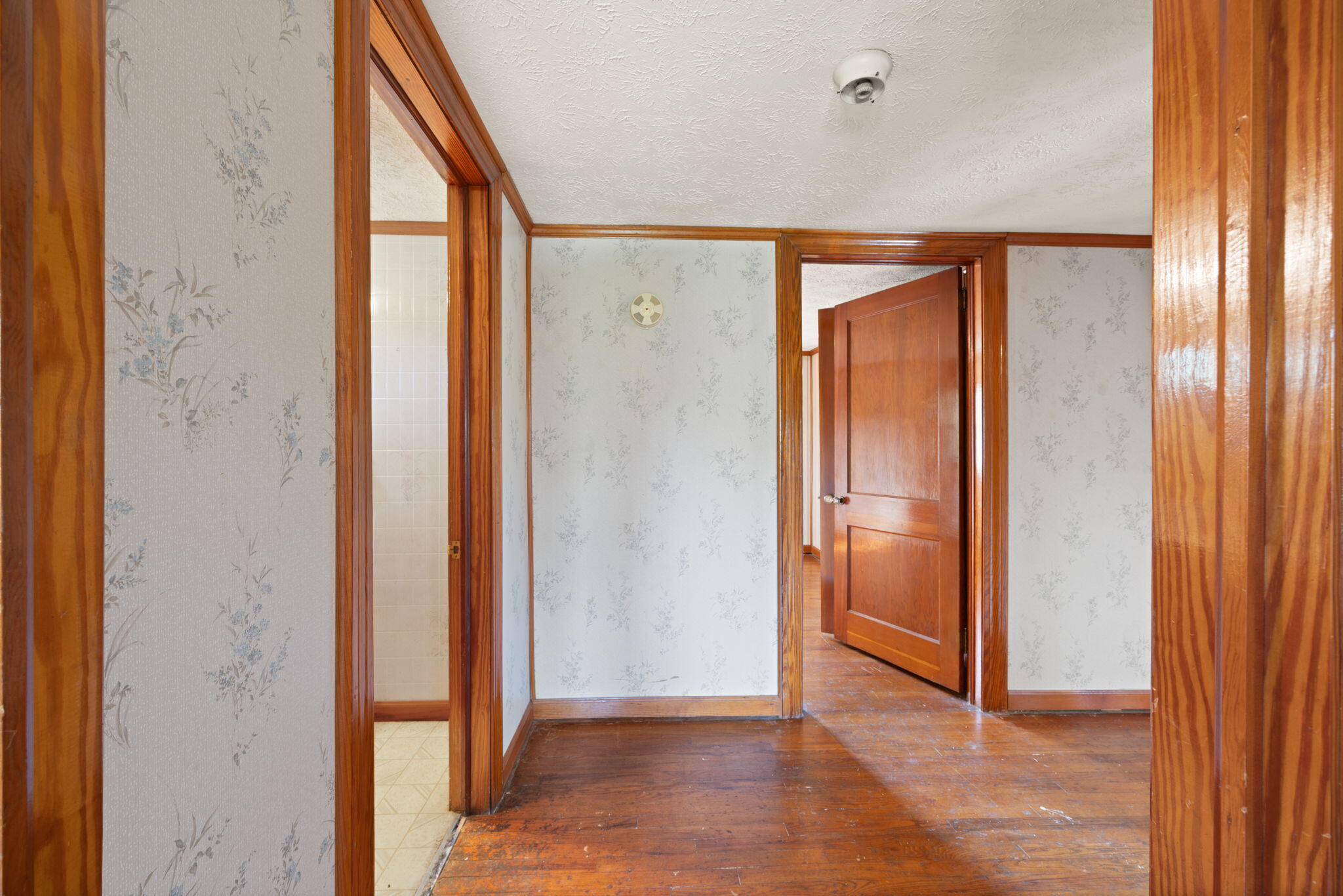 6114 Highway 1546 Property Photo 50