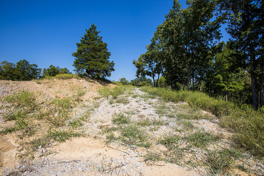 831 Grover Criswell Road Property Photo 22