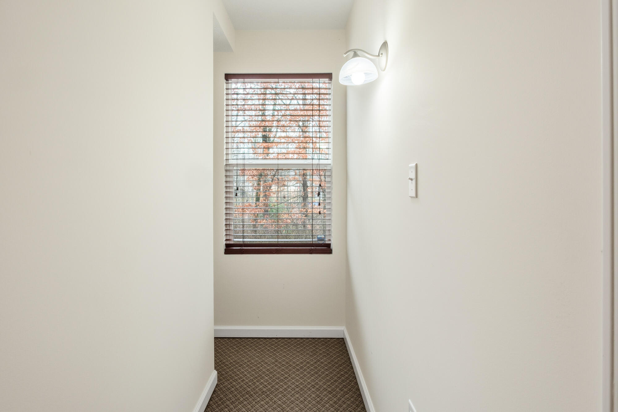 432 Scarlet Oak Drive Property Photo 48