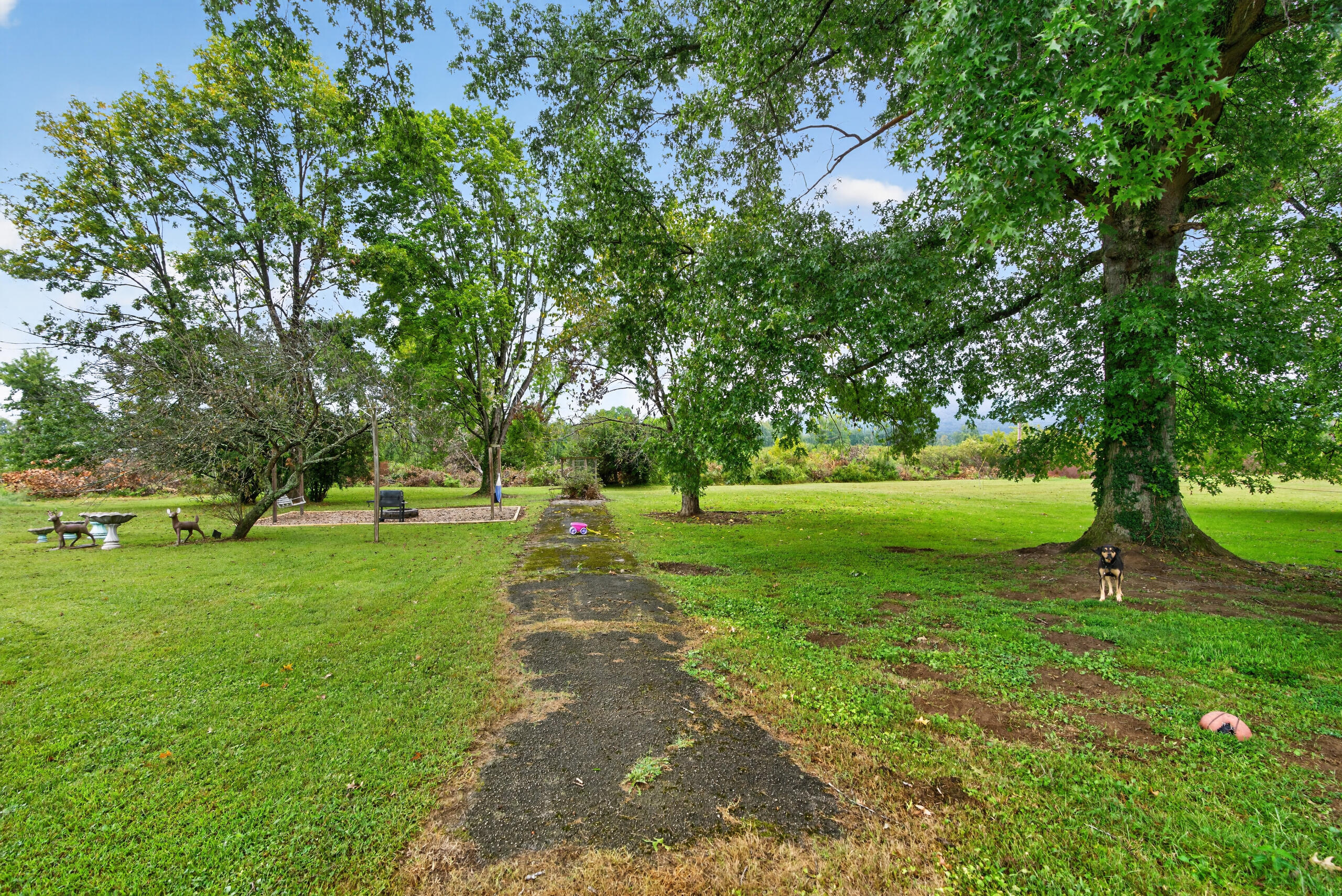 118 Greenway Road Property Photo 28
