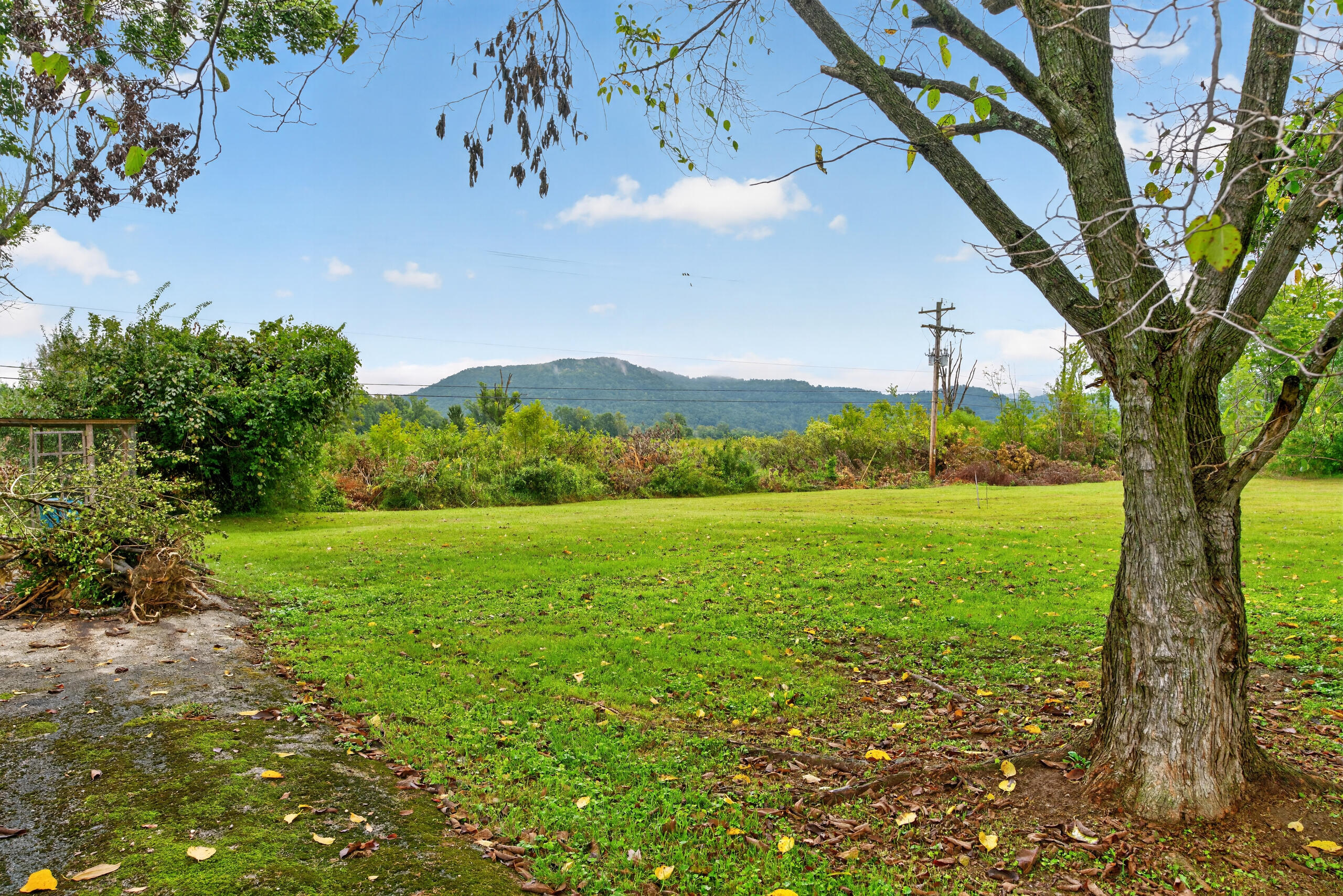 118 Greenway Road Property Photo 30
