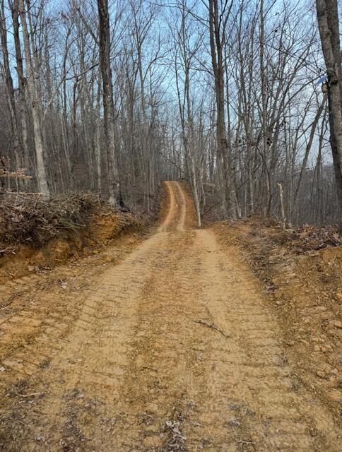 9999 King Mountain Road Property Photo 5