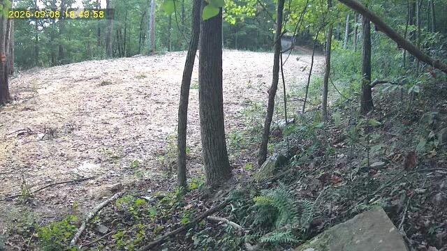 9999 King Mountain Road Property Photo 6