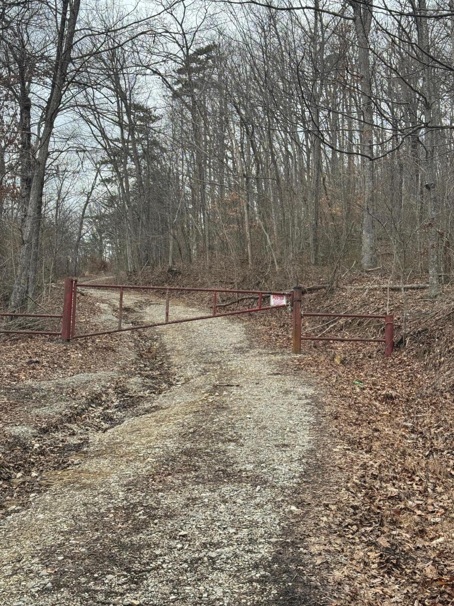 9999 King Mountain Road Property Photo 7