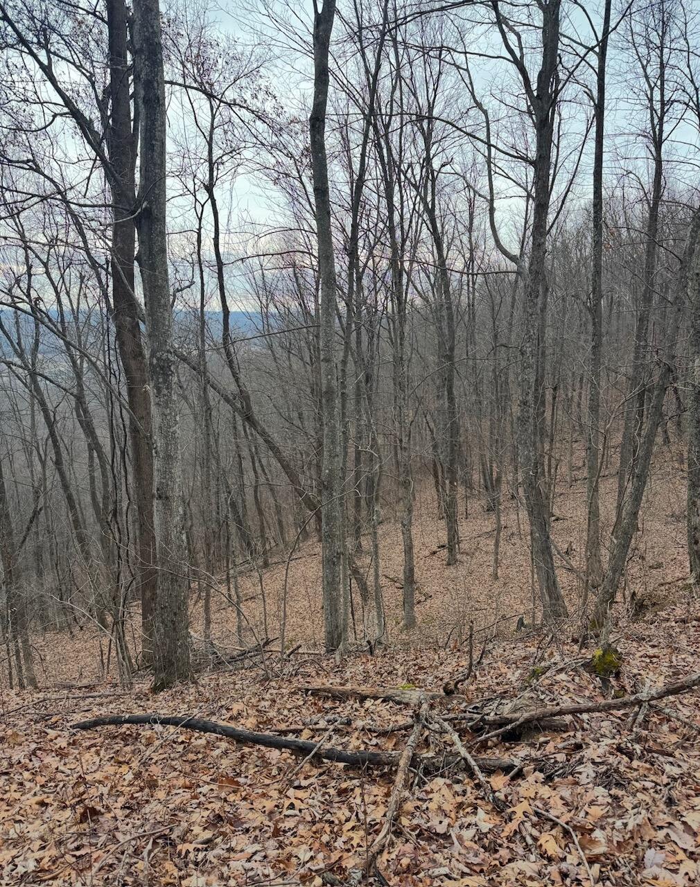9999 King Mountain Road Property Photo 9