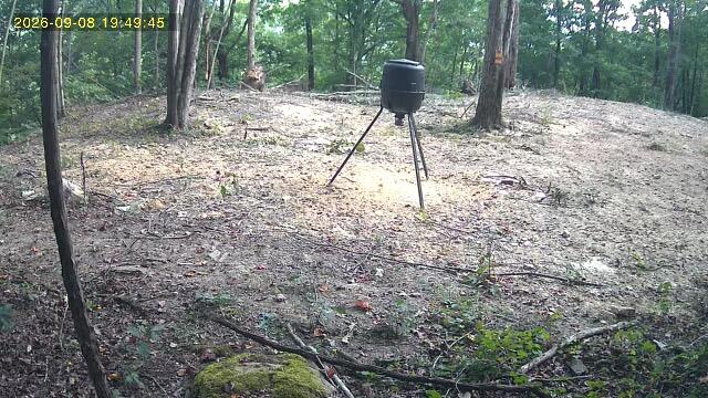 9999 King Mountain Road Property Photo 15