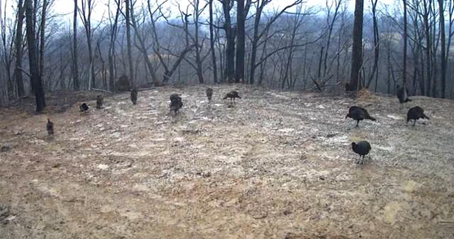 9999 King Mountain Road Property Photo 16