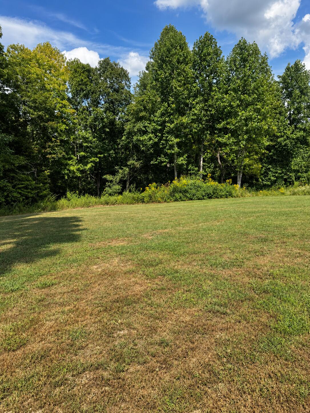 307 Sawyer Church Road Property Photo 39