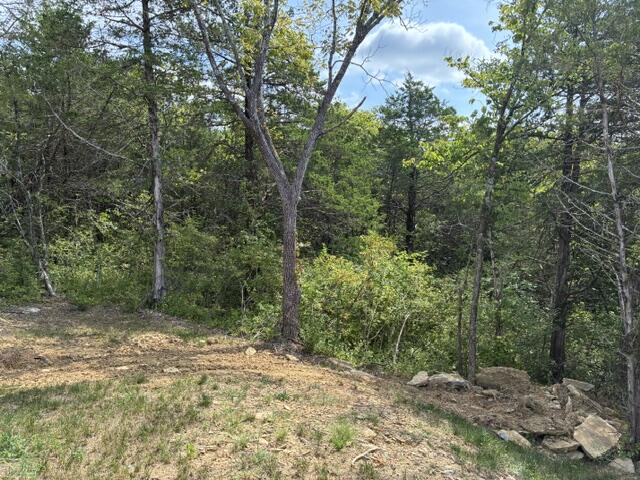 306 Parsons Lane Property Photo 22