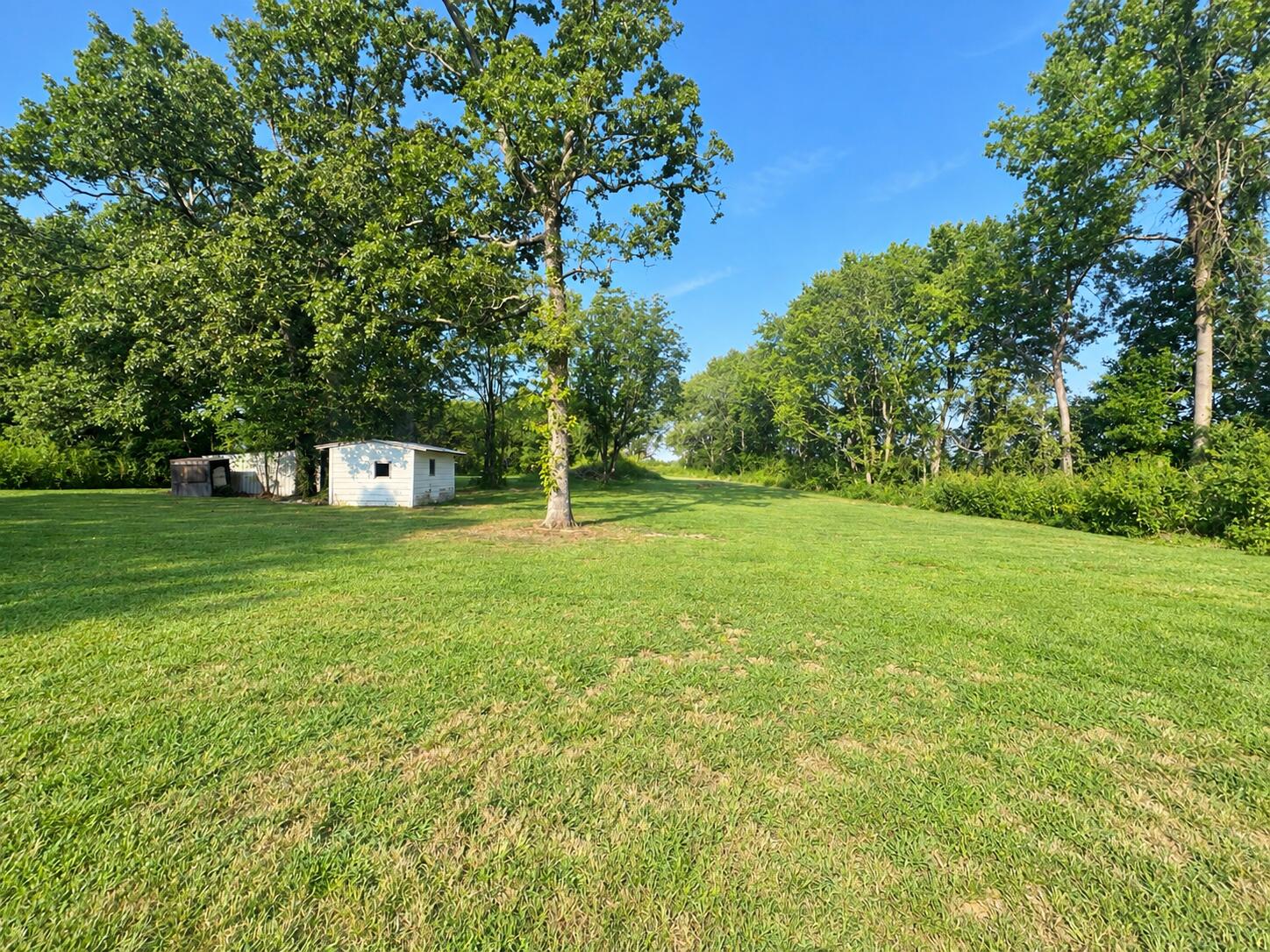 265 Kentucky 381