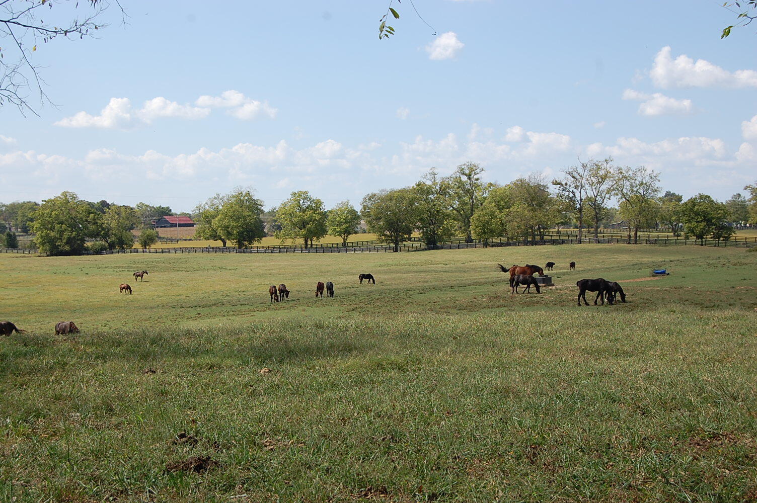 990 Clay Kiser Road Property Photo 1