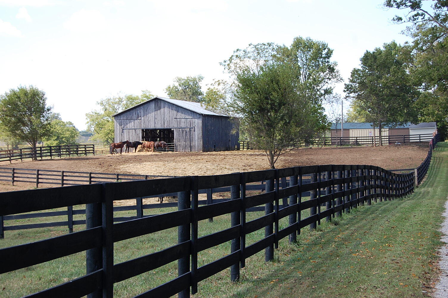 990 Clay Kiser Road Property Photo 18