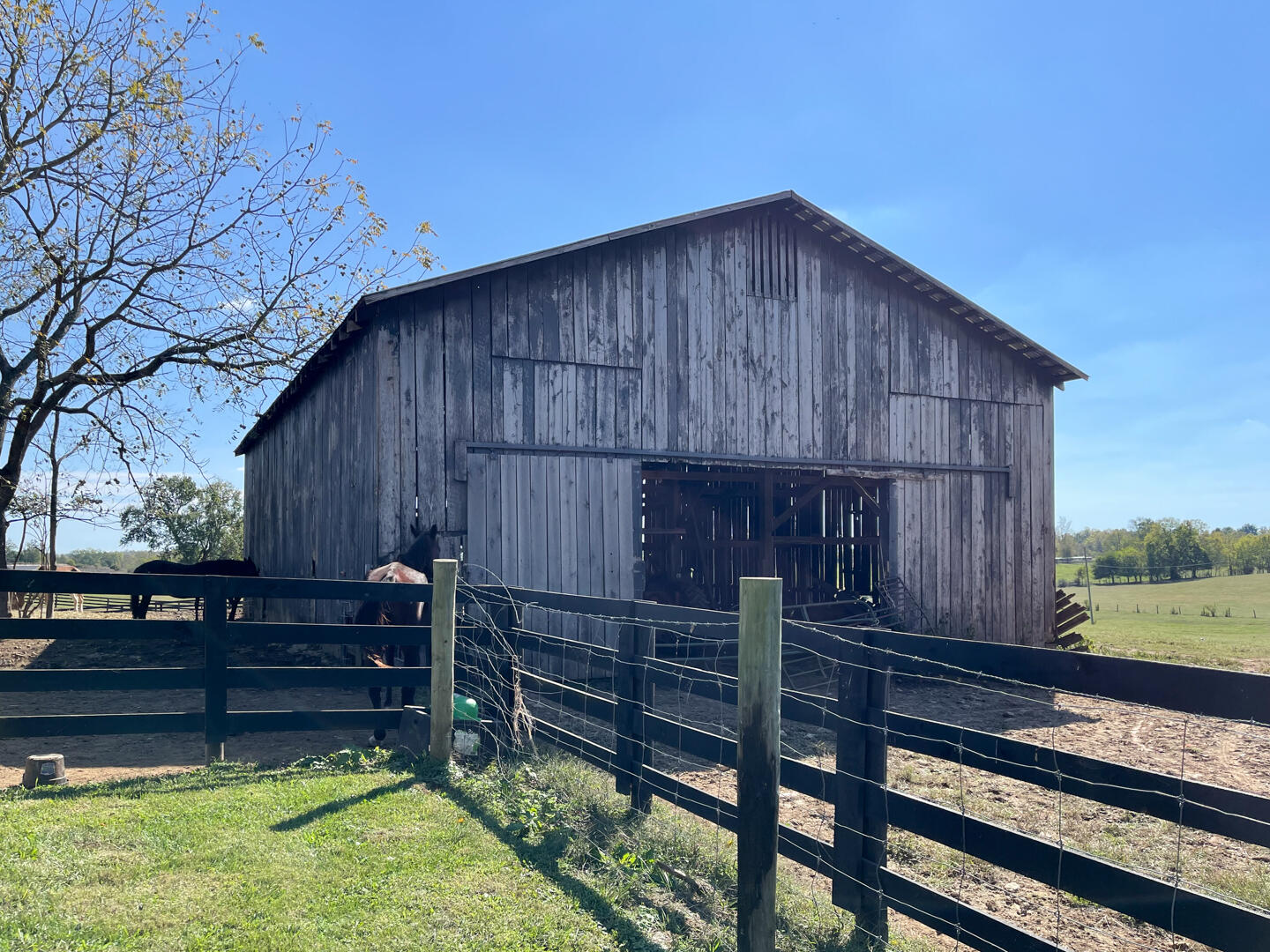 990 Clay Kiser Road Property Photo 19