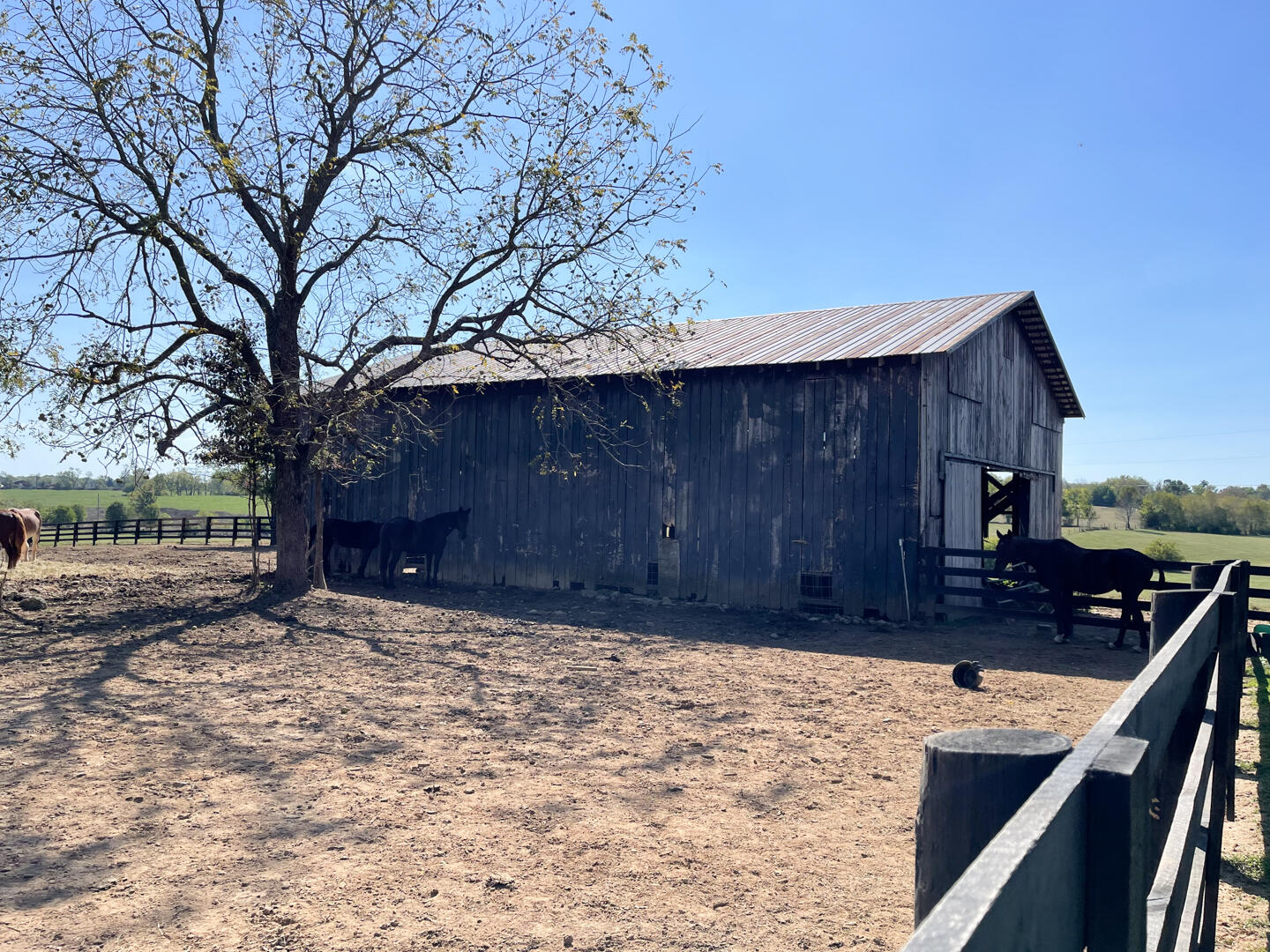 990 Clay Kiser Road Property Photo 20