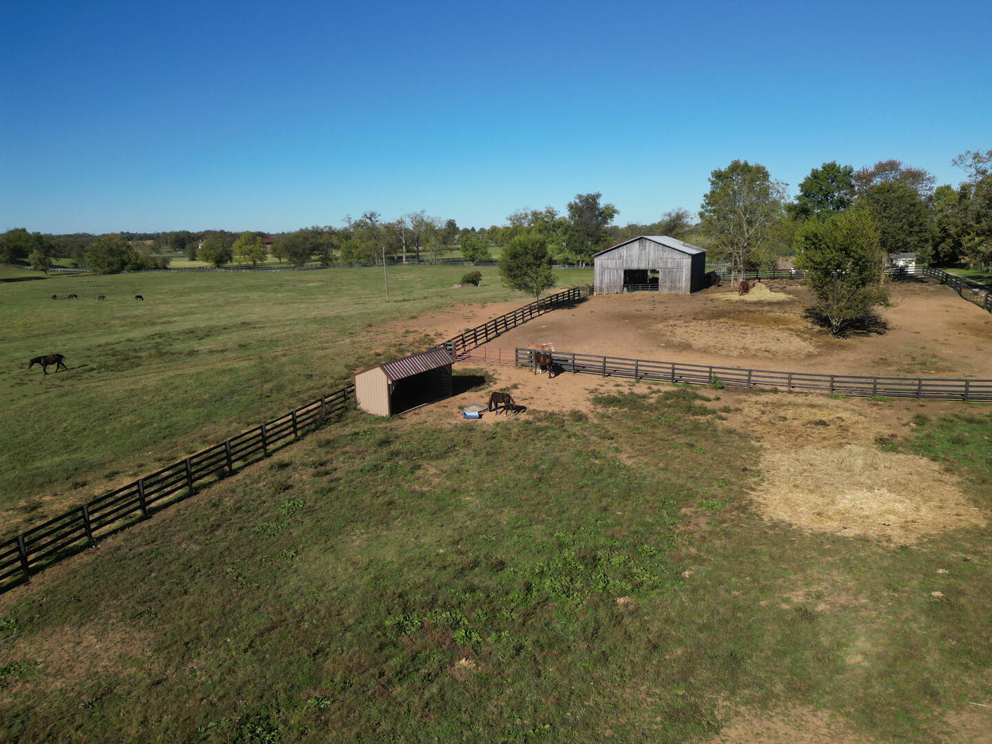 990 Clay Kiser Road Property Photo 21
