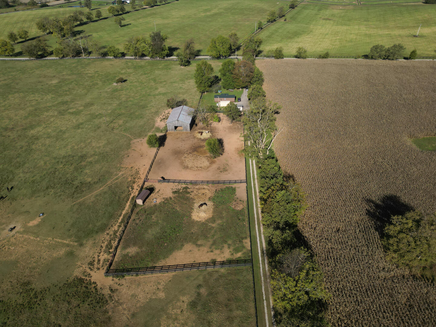 990 Clay Kiser Road Property Photo 22