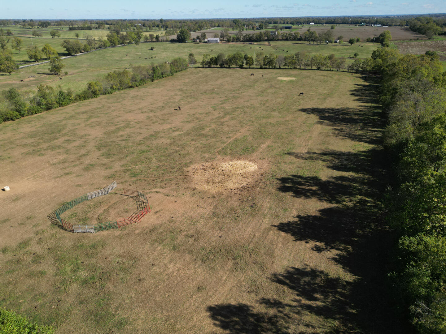 990 Clay Kiser Road Property Photo 29