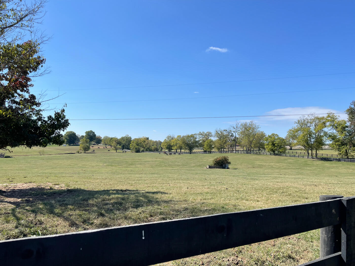 990 Clay Kiser Road Property Photo 30