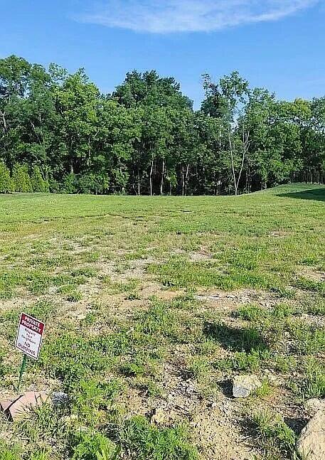 396 Weston Park Property Photo 3