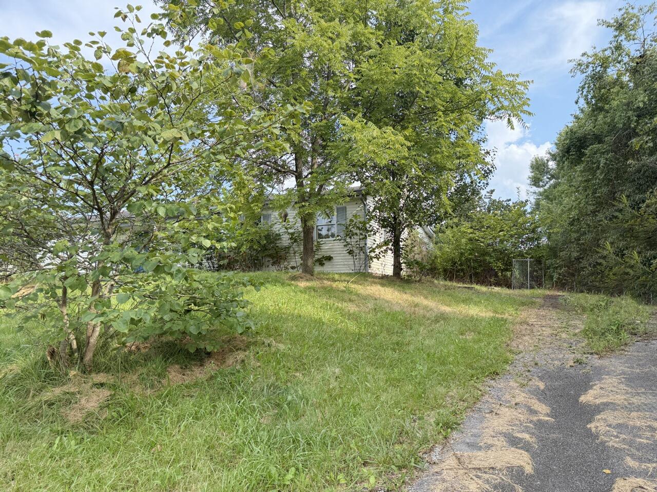 125 Ky Hwy 3276 Road Property Photo 3