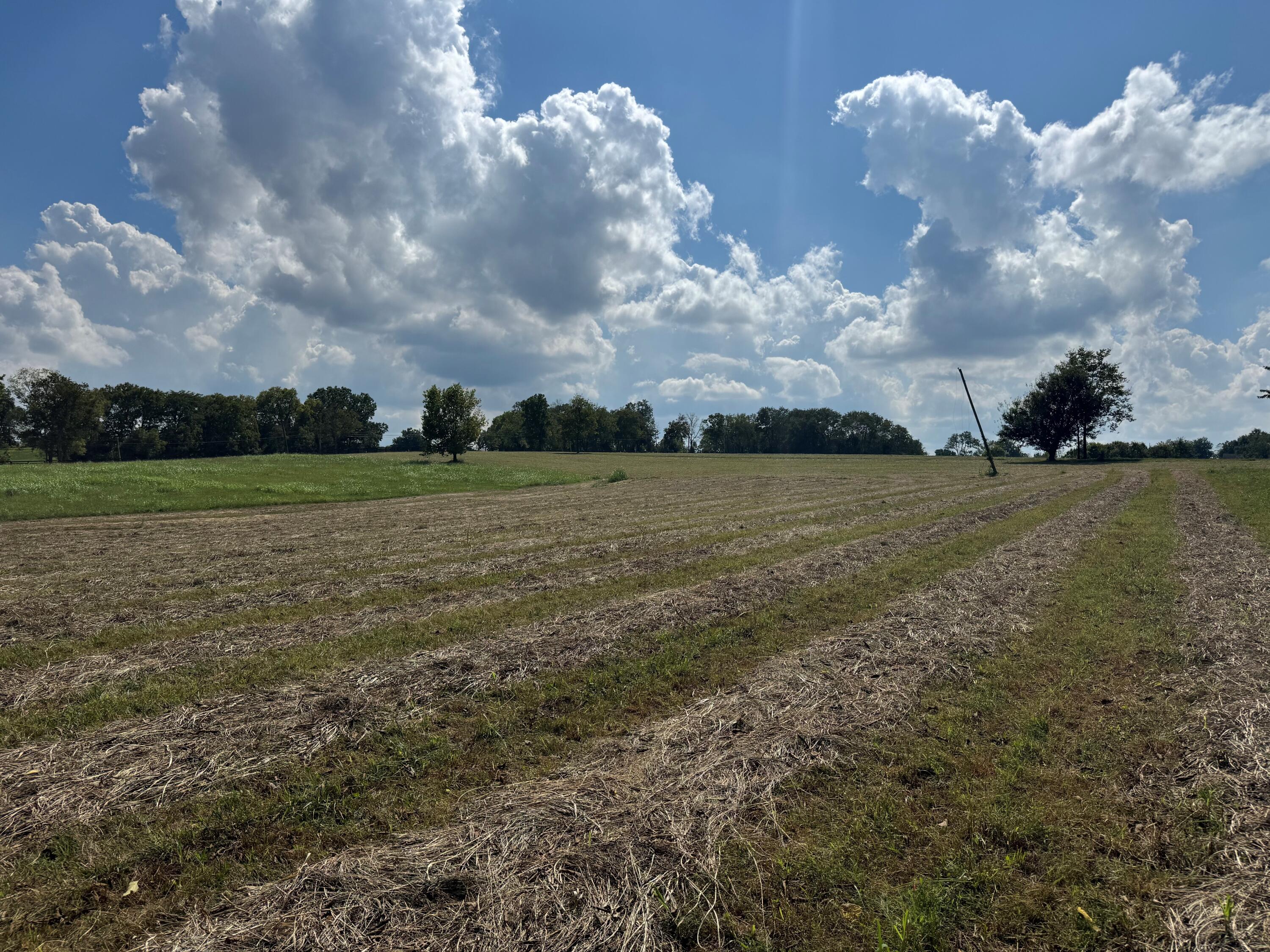 2445 Bryan Station Road Property Photo 4
