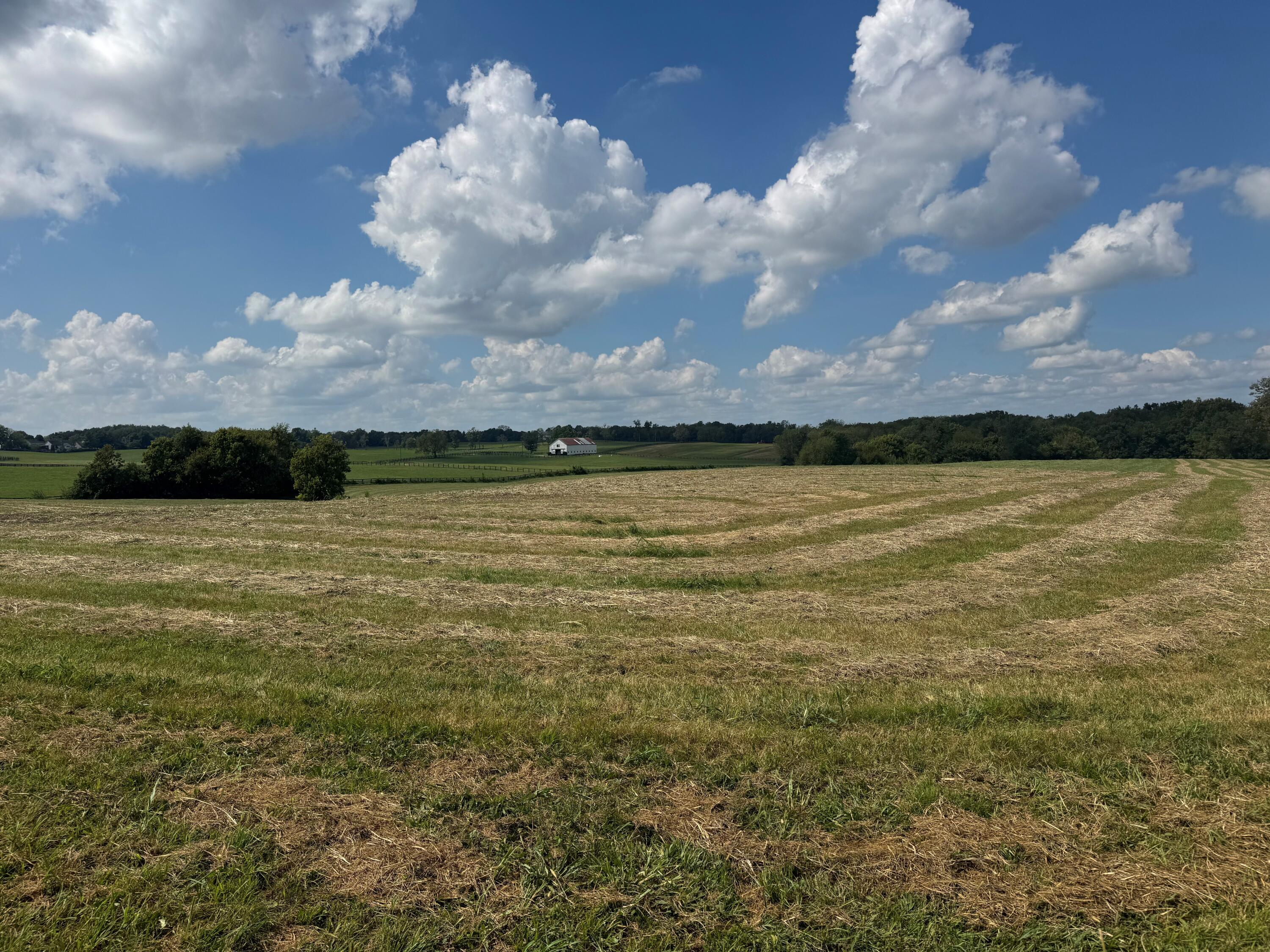 2445 Bryan Station Road Property Photo 5