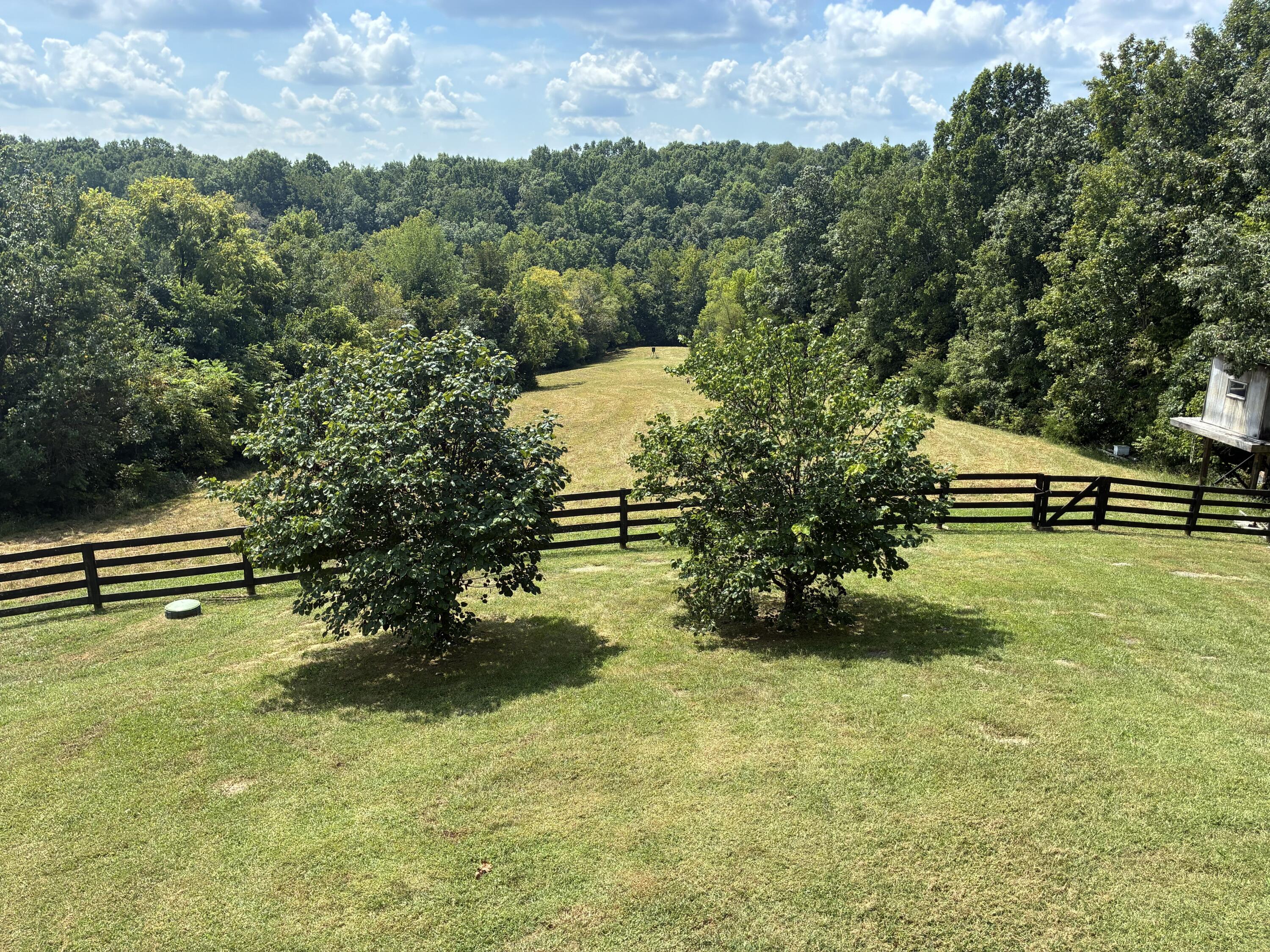 846 Johnson Road Property Photo 66