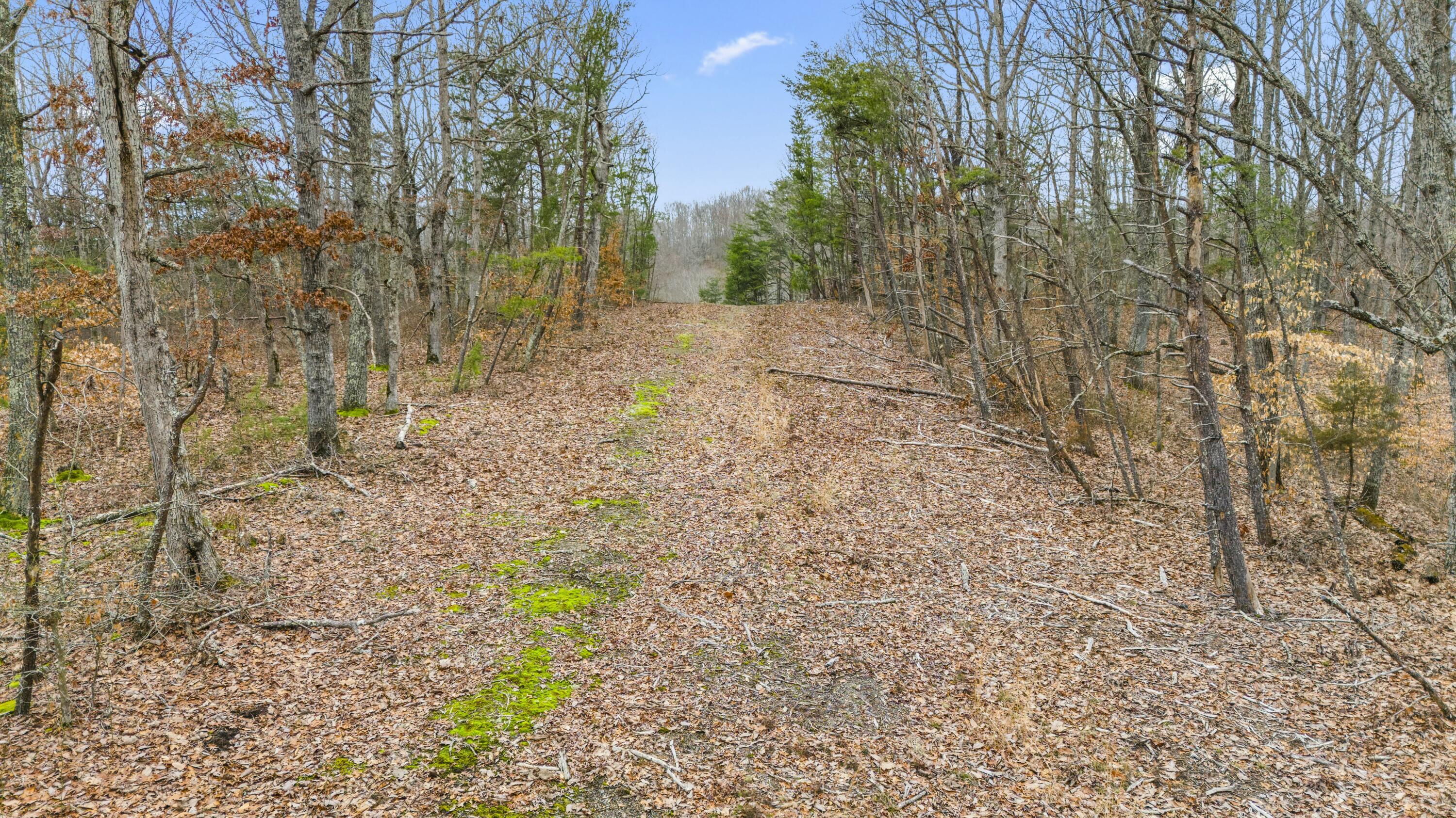 199 Midway Road Property Photo 5