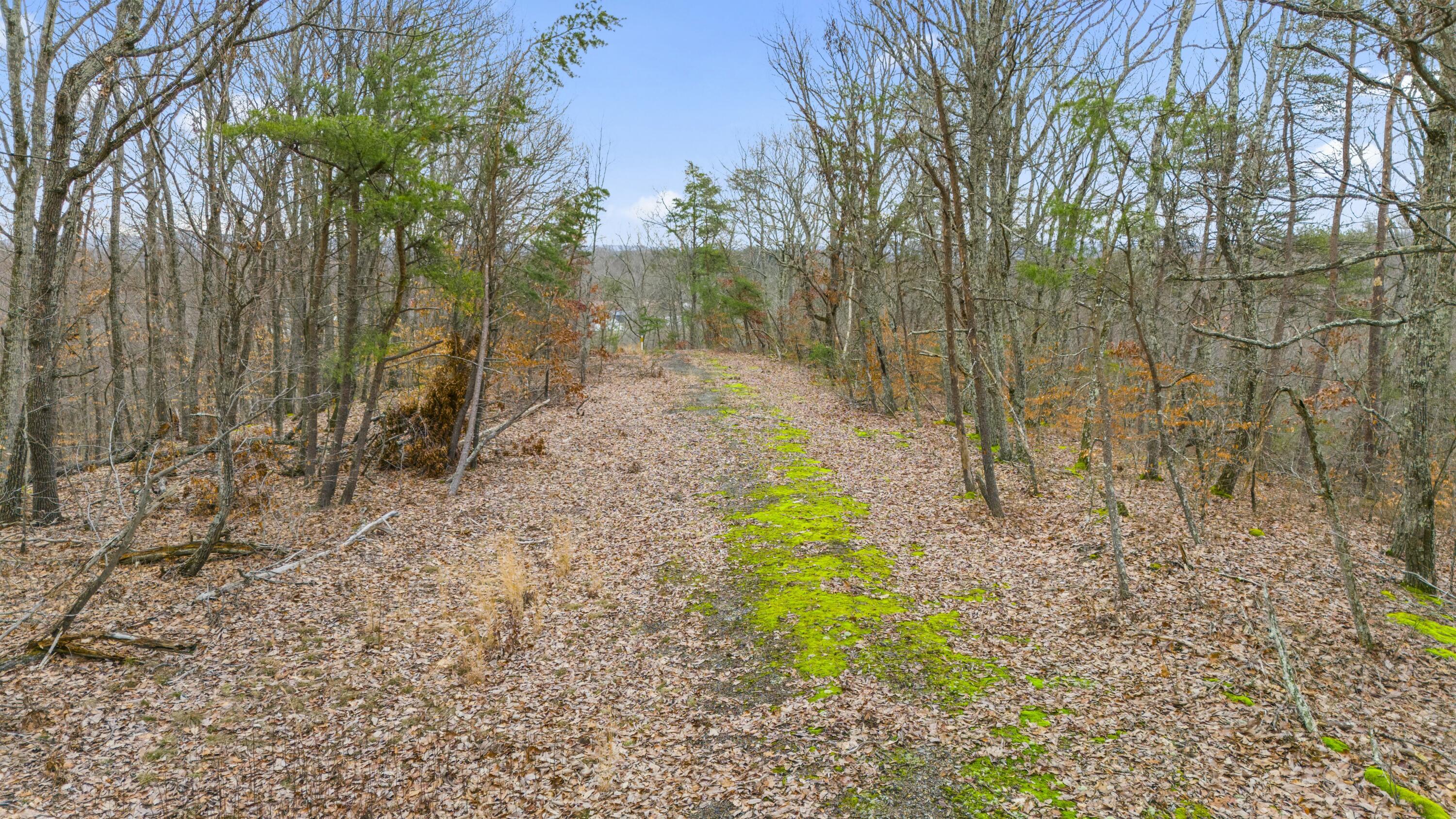 199 Midway Road Property Photo 6