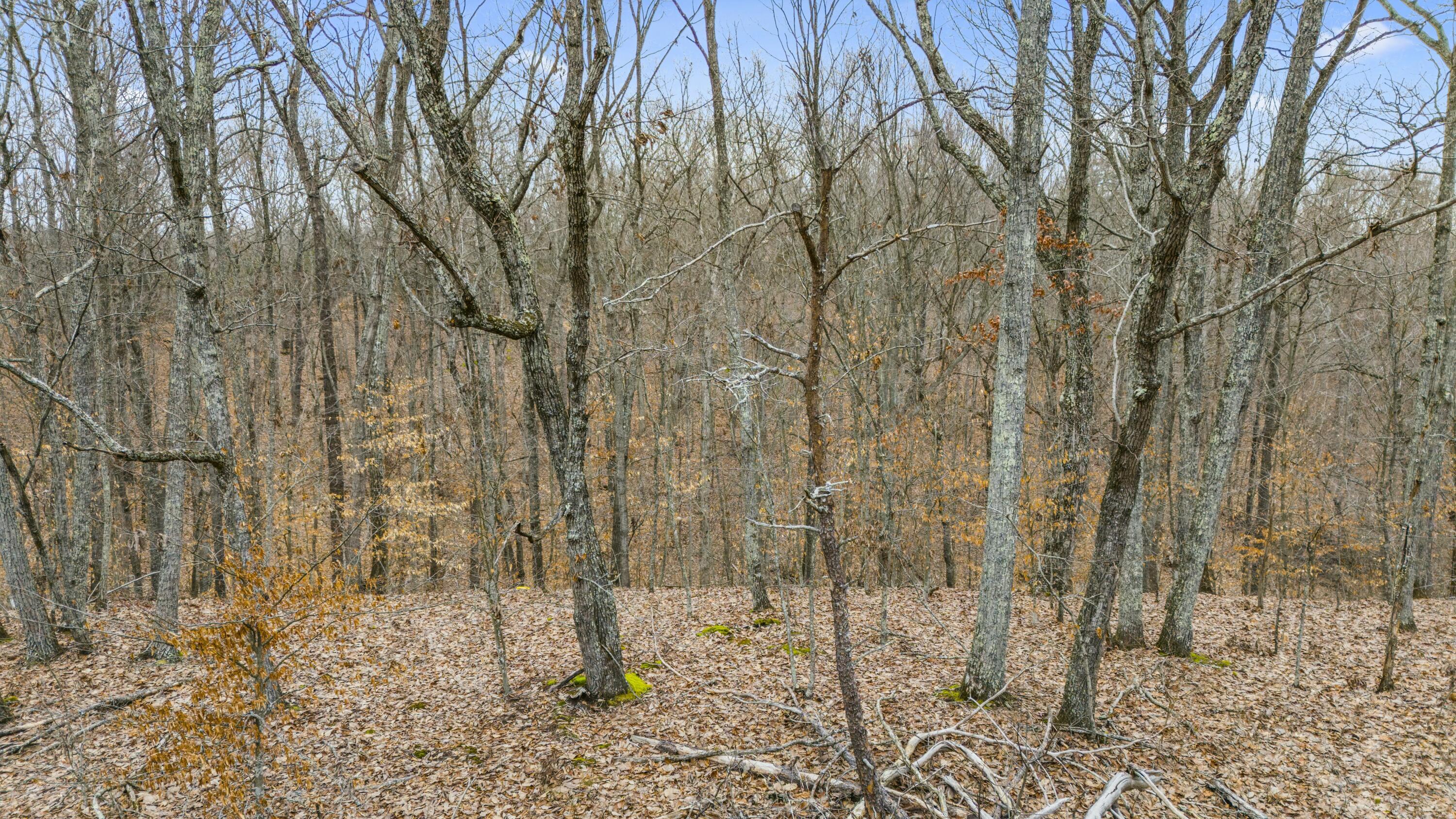199 Midway Road Property Photo 7