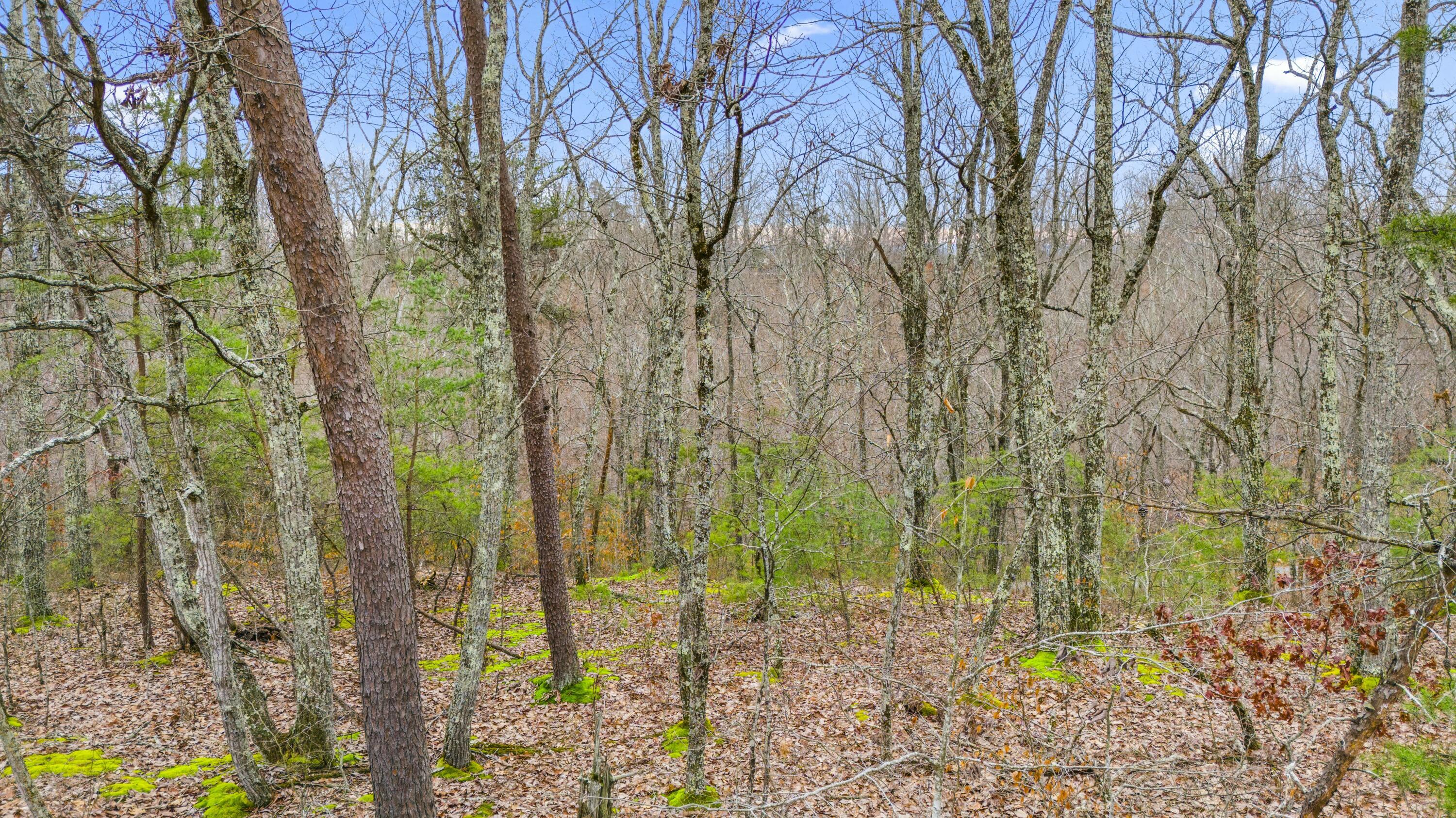 199 Midway Road Property Photo 8