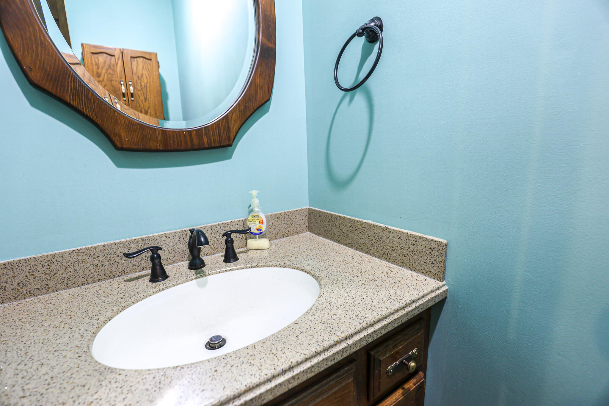 390 Windy Hills Circle Property Photo 28