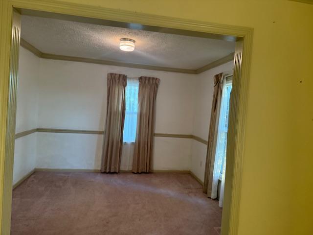 354 Brierly Ridge Rd Road Property Photo 9