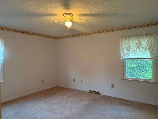 354 Brierly Ridge Rd Road Property Photo 14