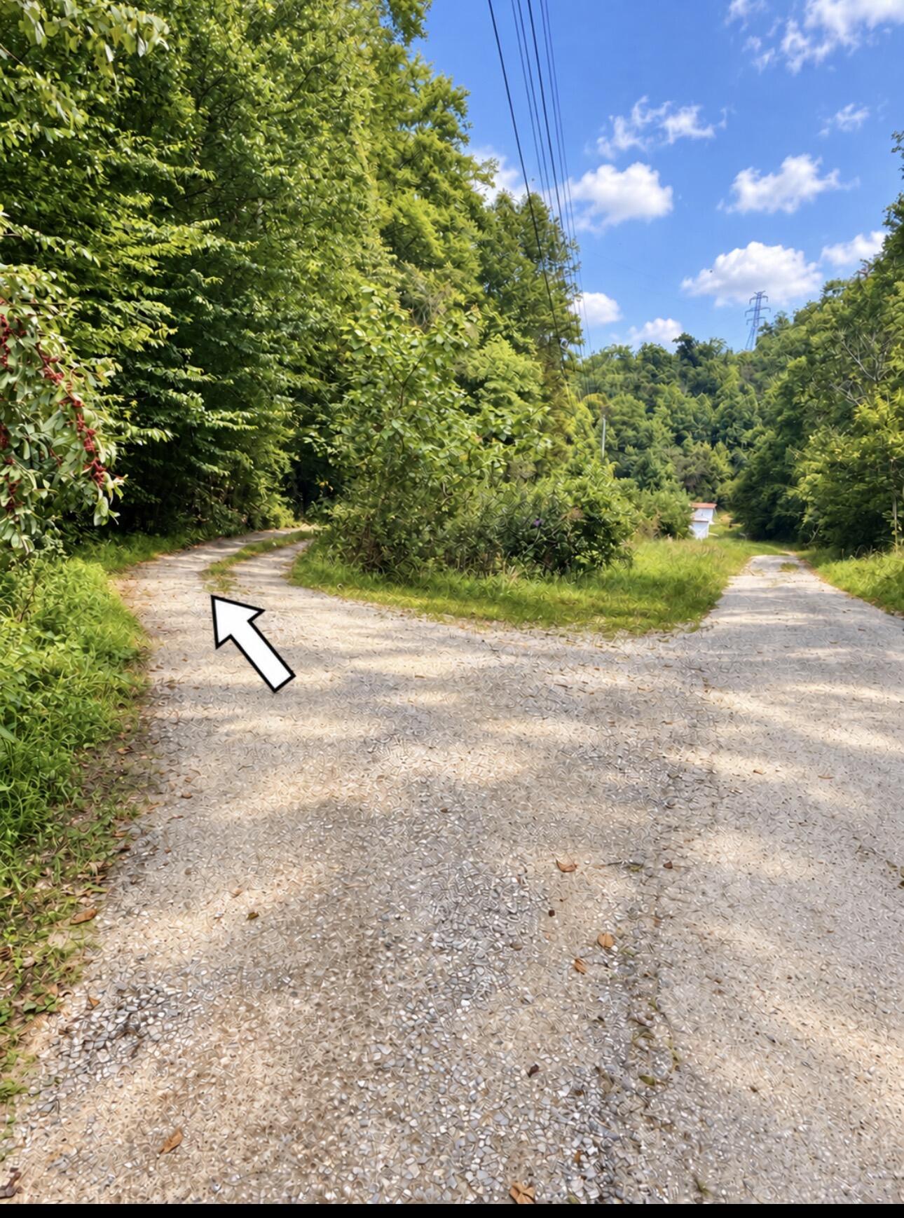 823 Frog Pond Road Property Photo 3