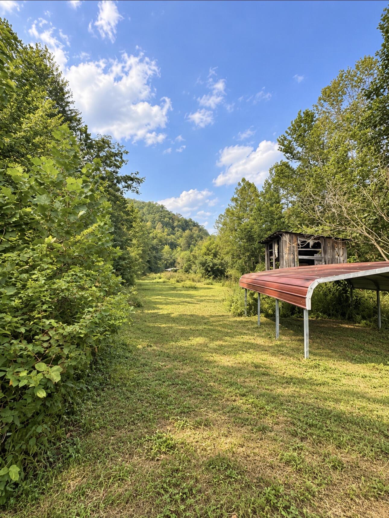 823 Frog Pond Road Property Photo 4