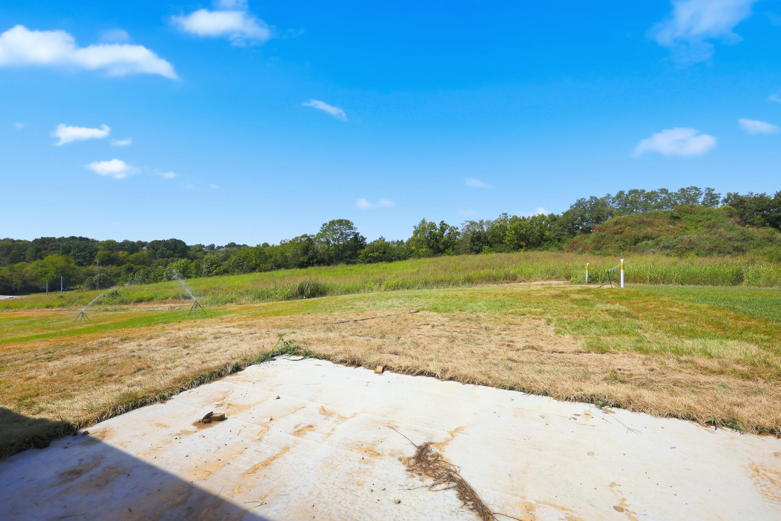 917 Olympic Court Property Photo 30