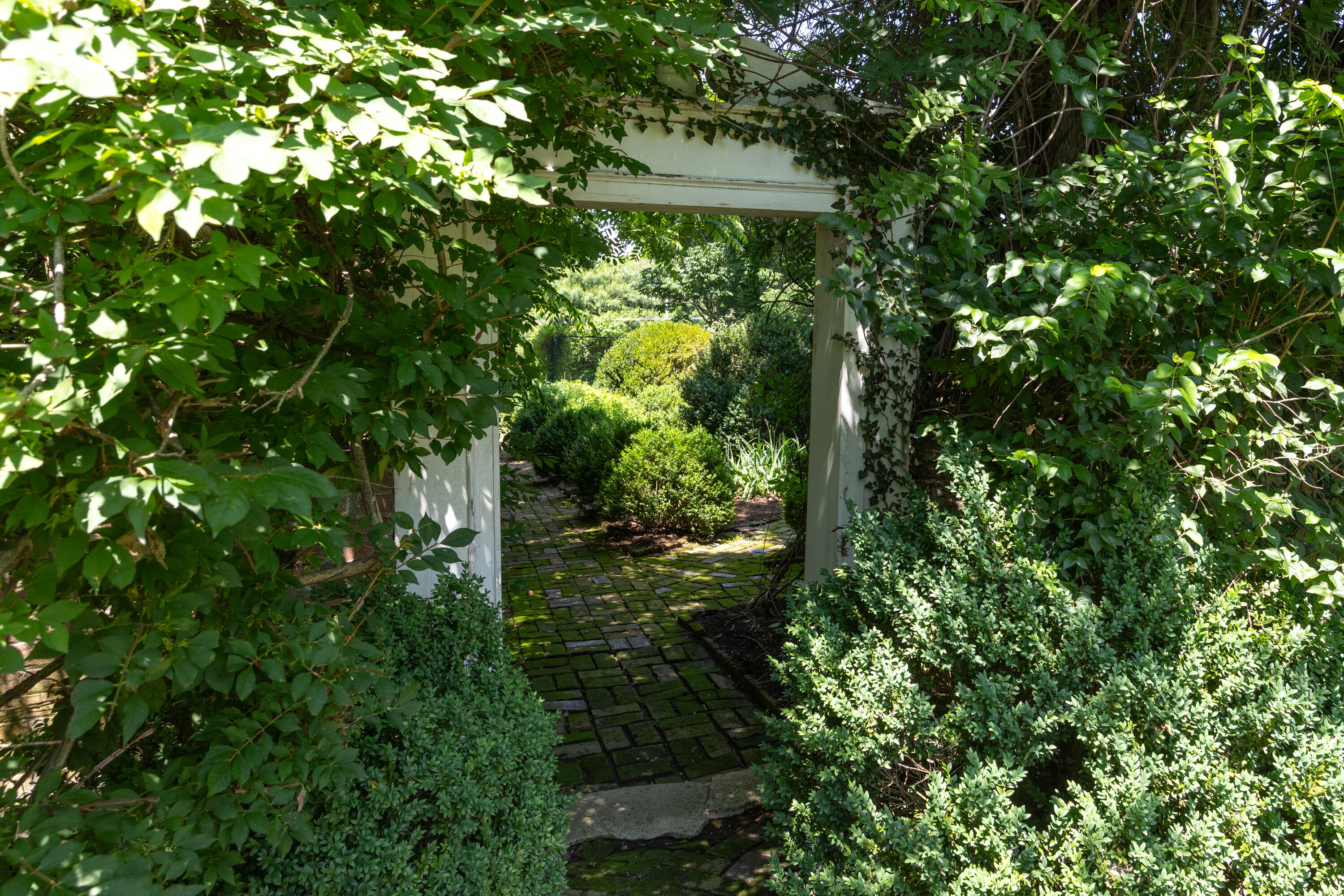 2601 Old Cave Hill Lane Property Photo 41