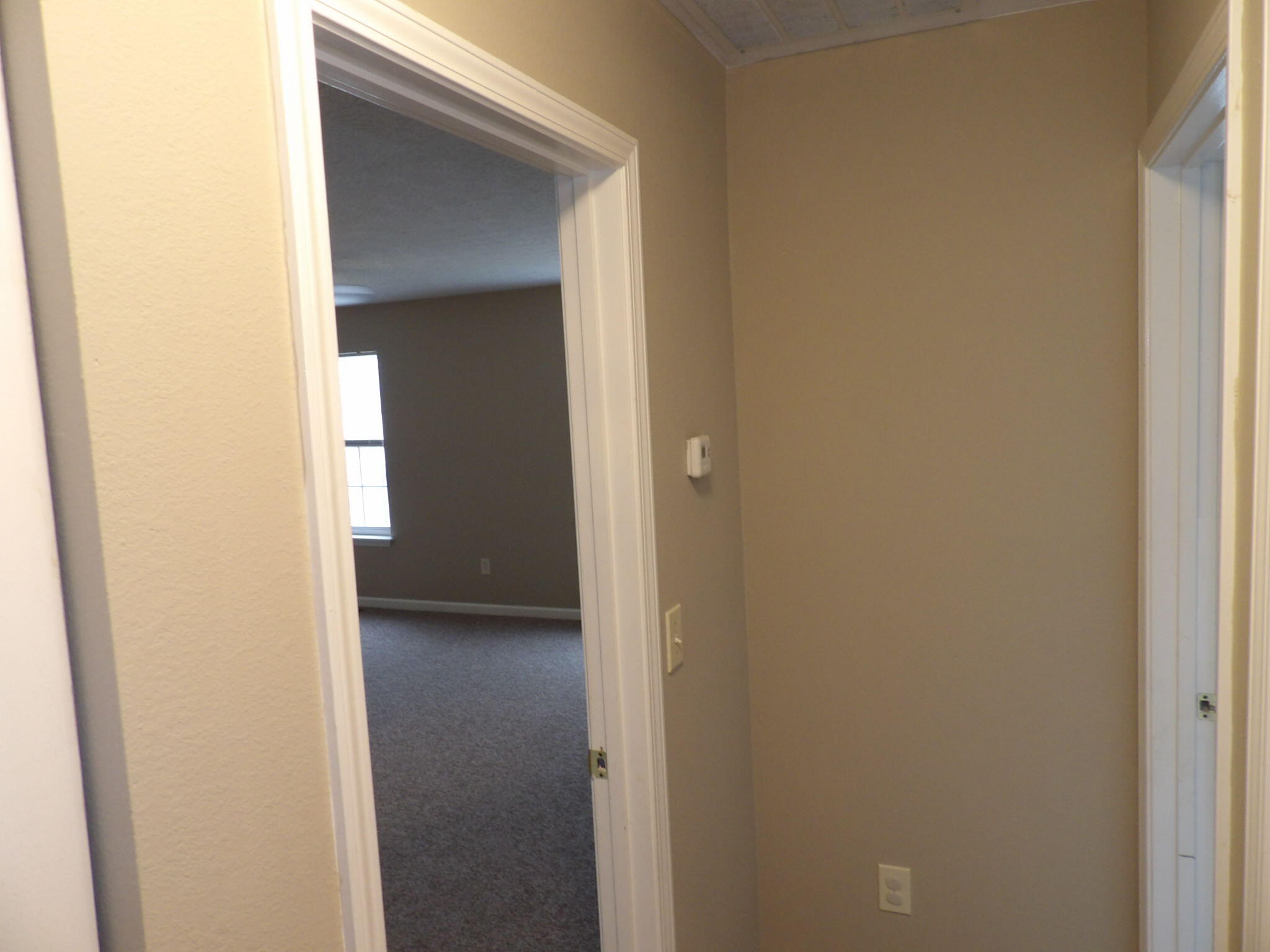 207 Robert M Green Boulevard Property Photo 46
