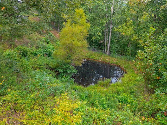 175 Brown Gabbard Road Property Photo 49