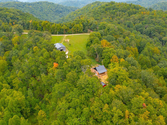 175 Brown Gabbard Road Property Photo 56