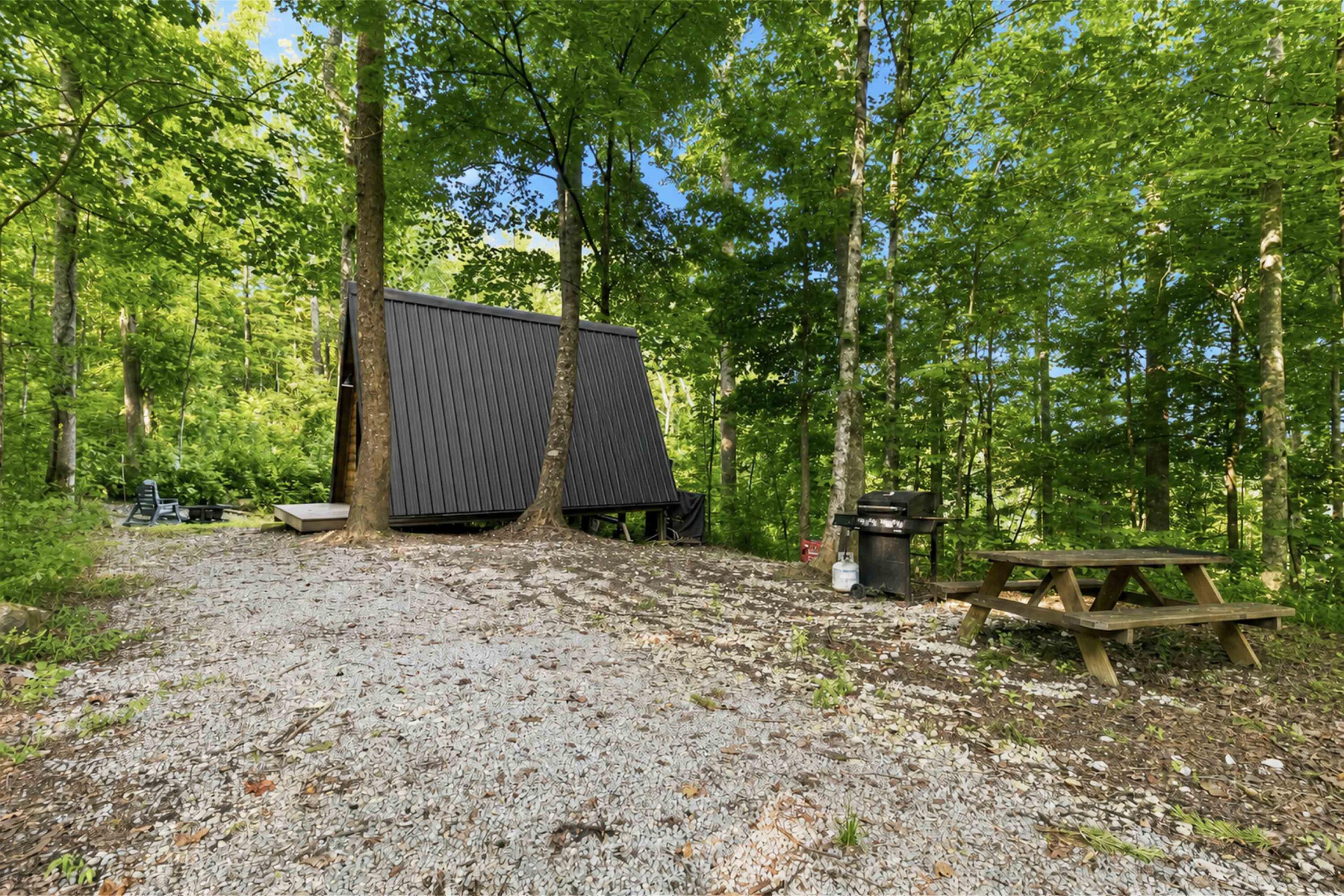 002 Forest Road 4005 Property Photo 3