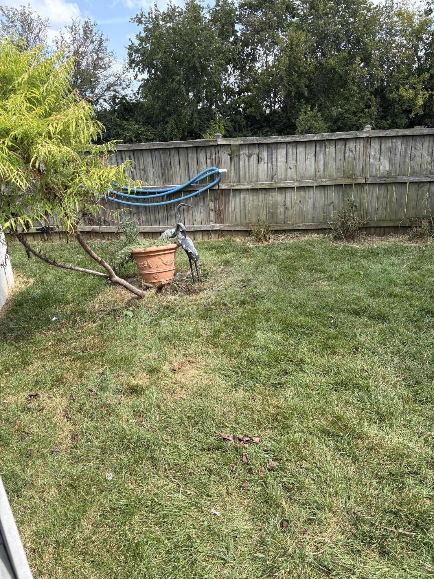 213 Skyline Drive Property Photo 25